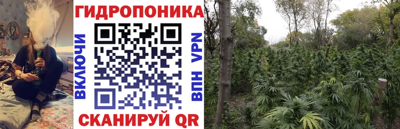 сколько стоит Агрыз Конопля планчик